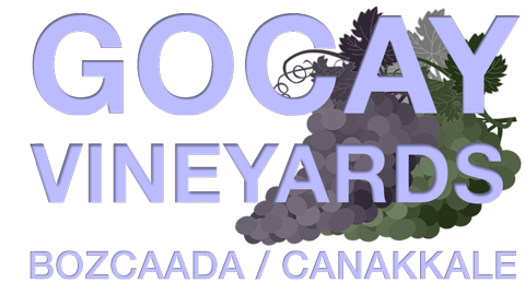 Gocay Vineyard